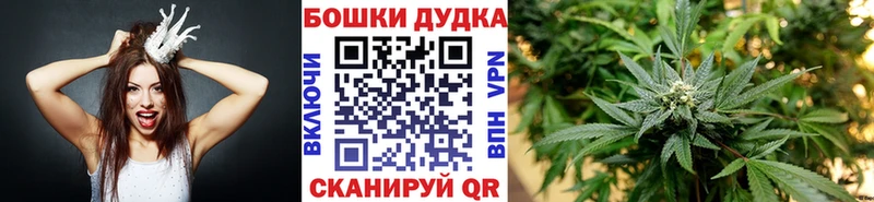 Канабис индика  как найти закладки  Людиново 